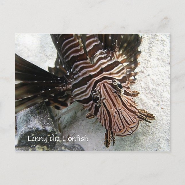 Postal Cactus Voyager - Lenny the LionFish (Anverso)