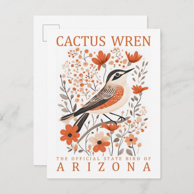 Postal Cactus Wren Bird of Arizona USA Travel (Anverso / Reverso)