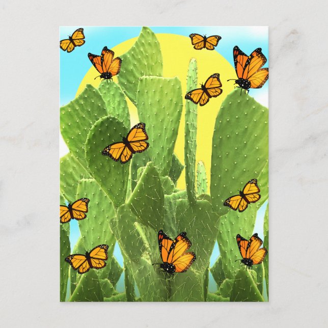 Postal Cactus Y Butterflies (Anverso)