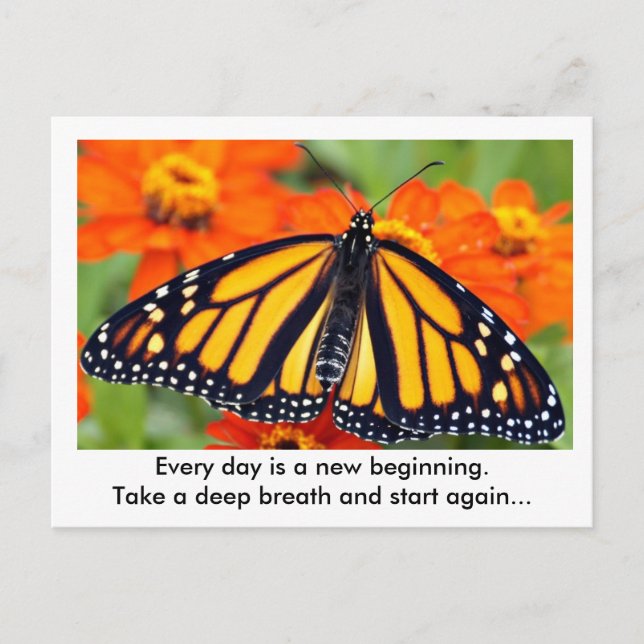 Postal Cada día es un nuevo comienzo... mariposa monarca (Anverso)