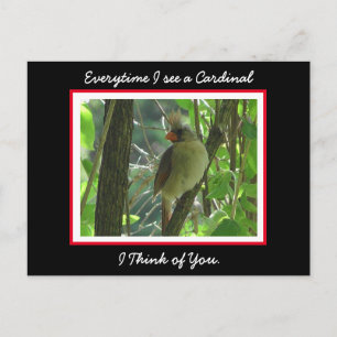 Postal Cada vez que veo un cardenal pienso en ti