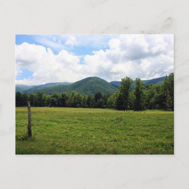 Postal Cade's Cove (Anverso)