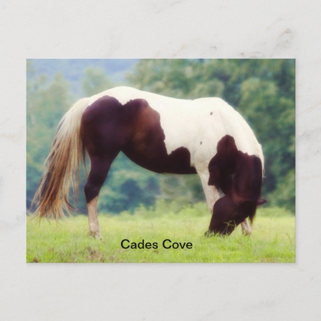 postal Cades Cove (Anverso)