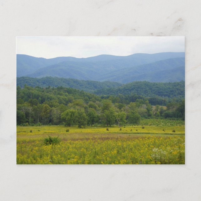 Postal Cades Cove (Anverso)