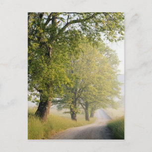 Postal Cades Cove   Grandes Montañas Humeantes, TN