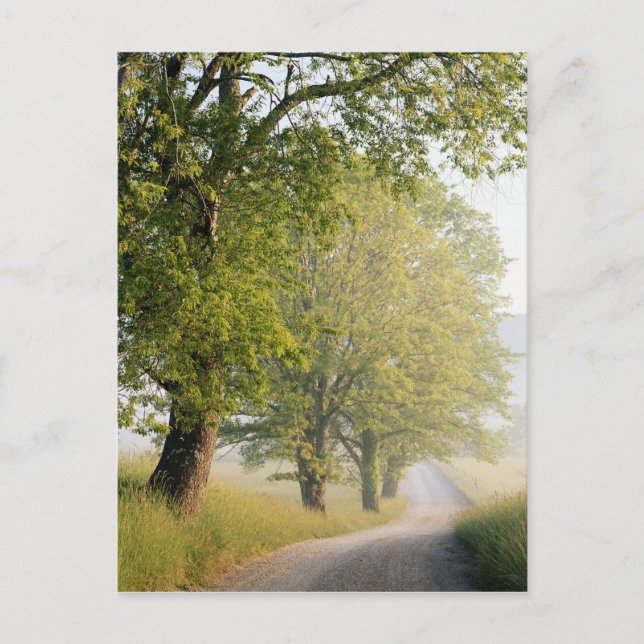 Postal Cades Cove | Grandes Montañas Smokey, TN (Anverso)