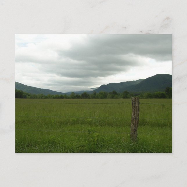 Postal Cades Cove, Great Smoky Mountains NP (Anverso)