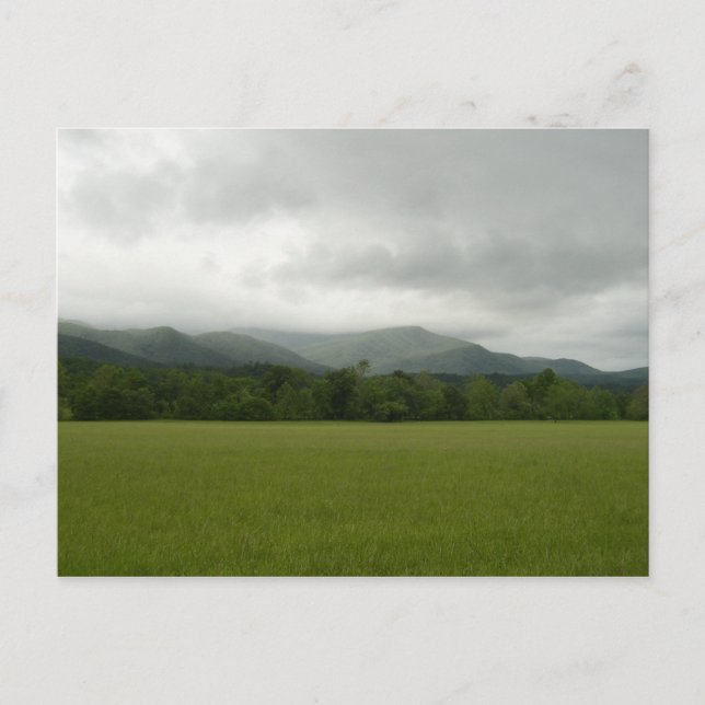 Postal Cades Cove, Great Smoky Mountains NP, TN (Anverso)