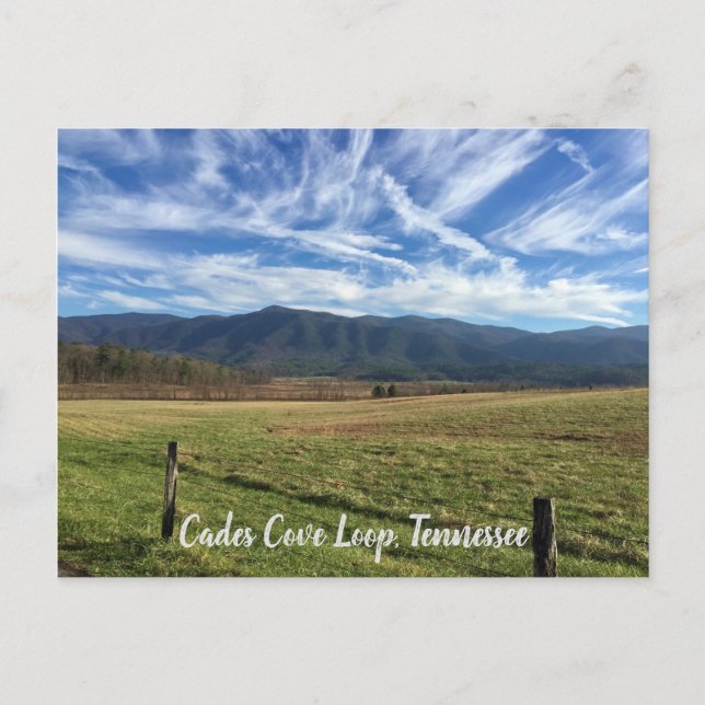 Postal Cades Cove Loop, TN - Open Field View (Anverso)