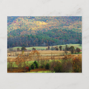 Postal Cades Cove Otoño - Grandes Montañas Ahumadas