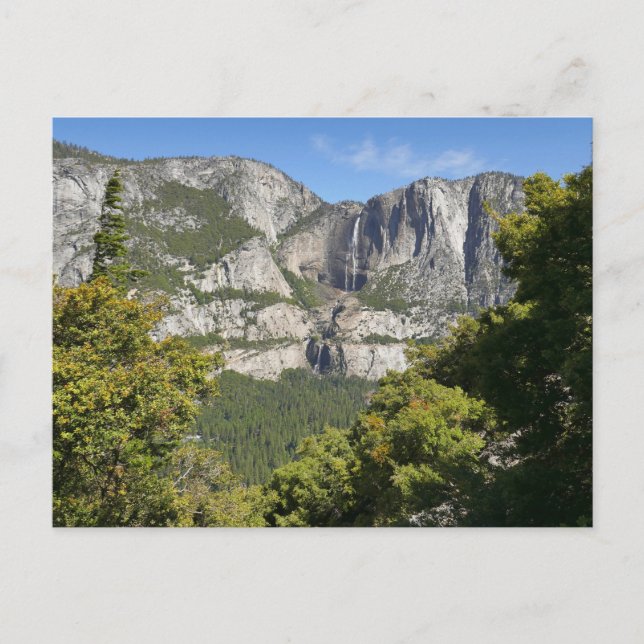 Postal Cae Yosemite en el sendero de cuatro millas (Anverso)