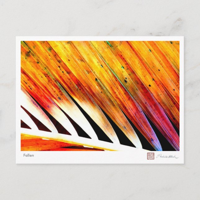 Postal Caer (Anverso)