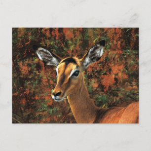 Postal Caer arte de fantasía de Impala