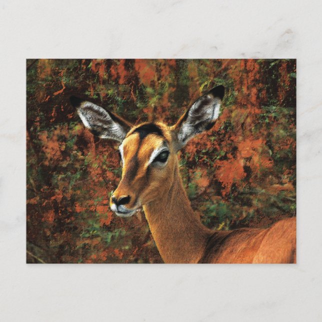 Postal Caer arte de fantasía de Impala (Anverso)