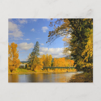 Postal Caer en el hervidor de agua