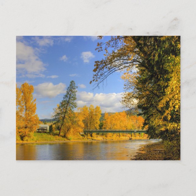 Postal Caer en el hervidor de agua (Anverso)