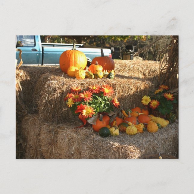 Postal Caer en Ellington, CT. (Anverso)