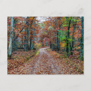 Postal Caer En La Postcarta De La Ruta Sucia