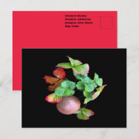 Caer en la temporada de fresas Foto de jardín tras