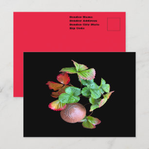 Postal Caer en la temporada de fresas Foto de jardín tras