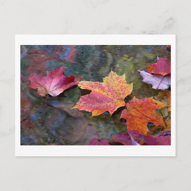 Postal caer en línea (Anverso)