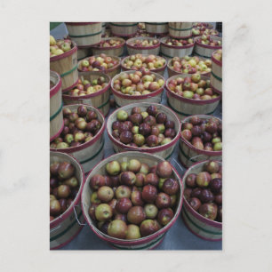 Postal Caer manzanas