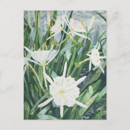 Postal Cahaba Lilies Postcard