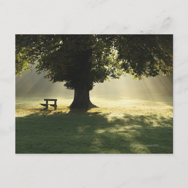 Postal Cahir, condado de Tipperary, Irlanda (Anverso)