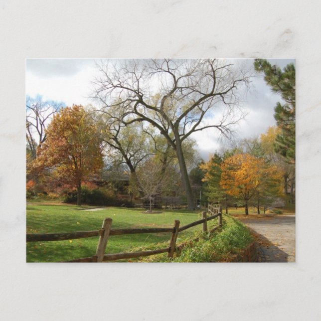 Postal Caída (Anverso)