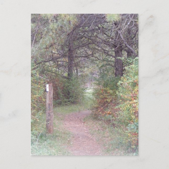 Postal caída apalache Pennsylvania del rastro (Anverso)