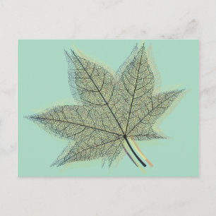 Postal Caída de la hoja de otoño