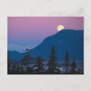 Postal Caída de la noche en Alaska