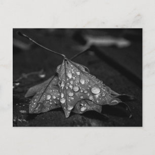 Postal Caída de las duchas