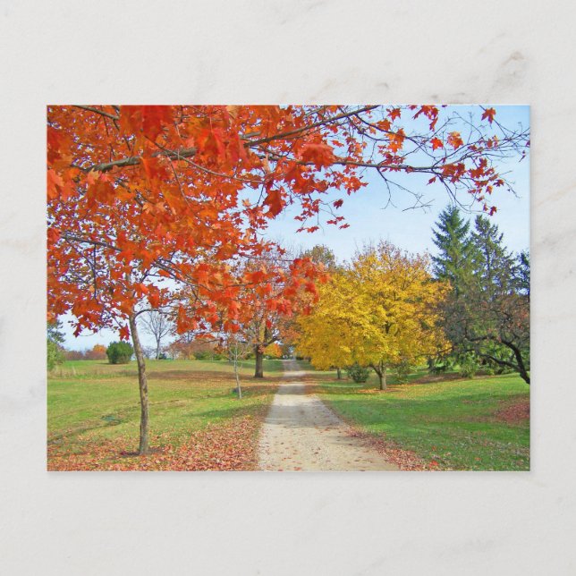 Postal Caída de las hojas de otoño (Anverso)