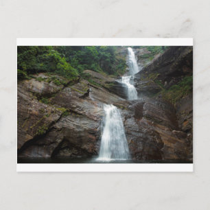 Postal Caída de moray en Sri Lanka