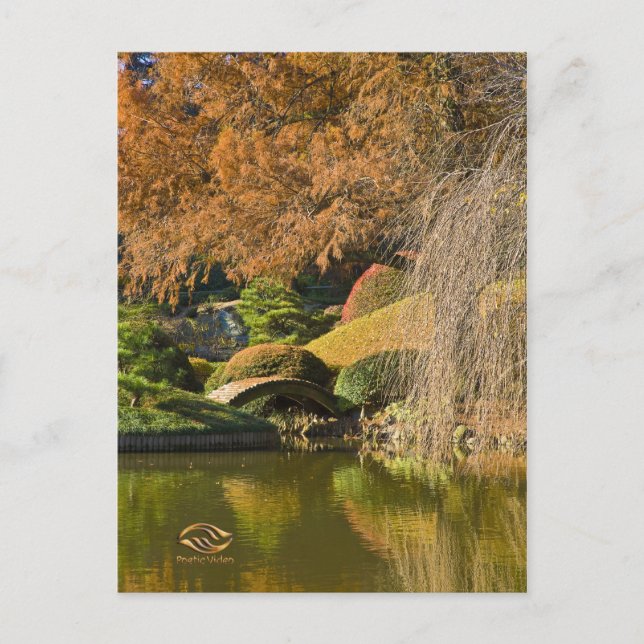 Postal Caída del Jardín Botánico de Brooklyn de Nueva Yor (Anverso)