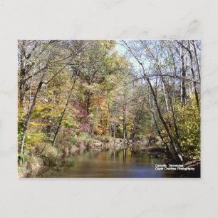 Postal Caída en Caryville, Tennessee