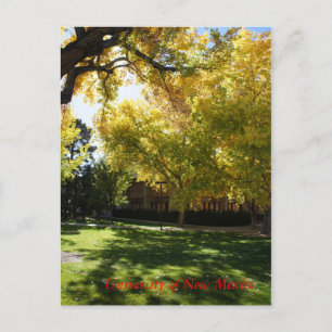 Postal Caída en el Campus I