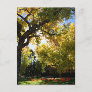 Postal Caída en el Campus II