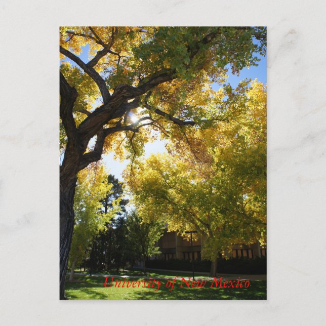 Postal Caída en el Campus II (Anverso)