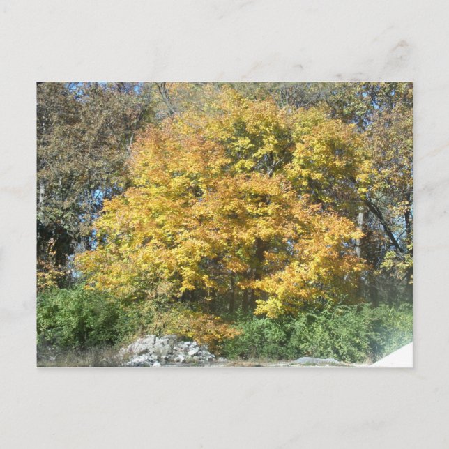 Postal Caída en el Medio Oeste (Anverso)