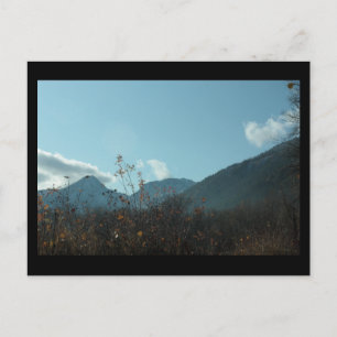 Postal Caída en el Parque de los Leones, Leavenworth WA M