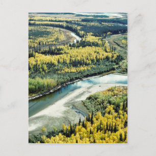 Postal Caída en el Refugio Nacional de Vida Silvestre Yuk