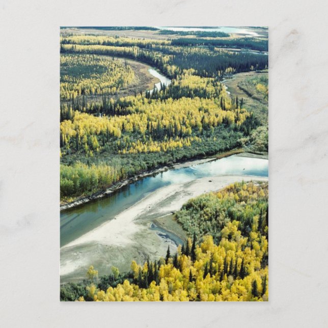 Postal Caída en el Refugio Nacional de Vida Silvestre Yuk (Anverso)