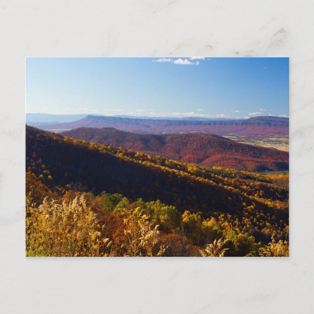 Postal Caída en el Valle de Shenandoah, Virginia (Anverso)