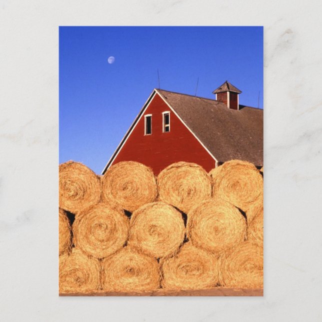 Postal Caída en la granja (Anverso)