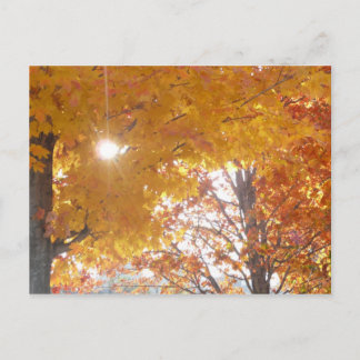 Postal Caída en Montreal