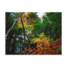 Caída en nueva Inglaterra-postal