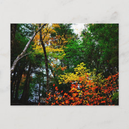 Postal Caída en nueva Inglaterra-postal