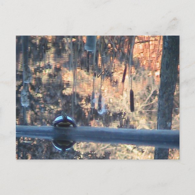 Postal Caída en Ohio (Anverso)